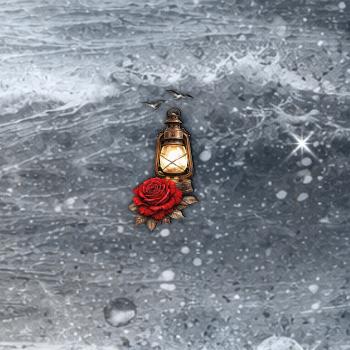 Salt Rose (Vorbestellung ab 06.04.2026)